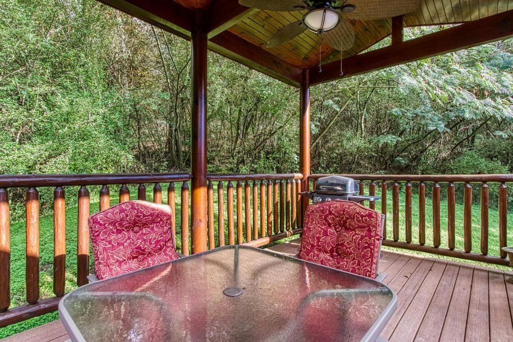 Papa Bear, Hot Tub, Wifi, 1089 Free Tickets Each Paid Day, Dollywood And More Sevierville Extérieur photo